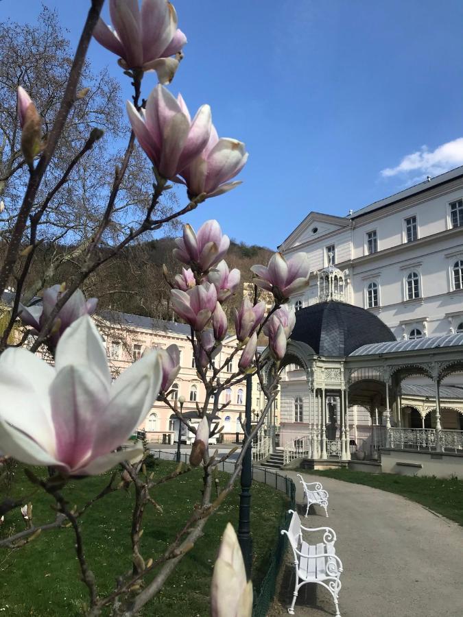 Apartment Sadova Karlowe Wary Zewnętrze zdjęcie